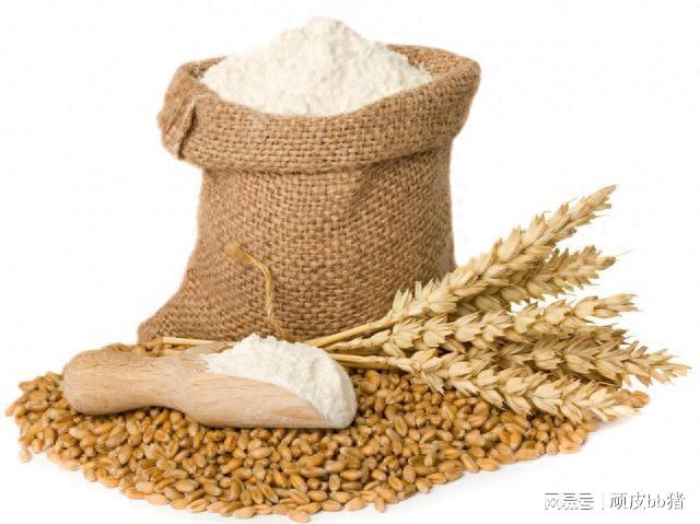 探究面粉最新事件背后的真相与未来展望