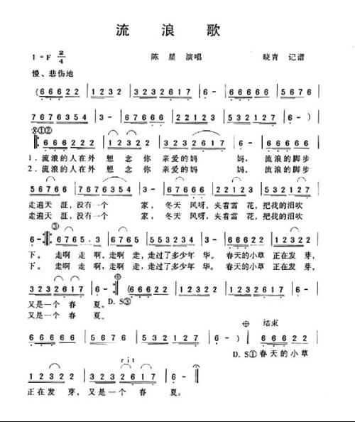 流浪之歌，最新风潮与独特韵味的独特魅力