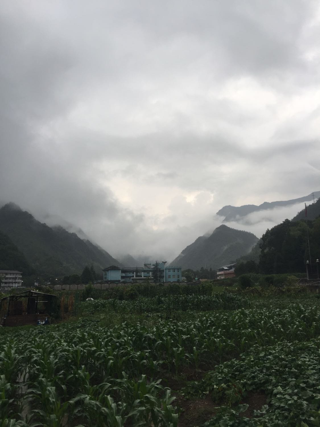 玉石沟村委会天气预报更新通知