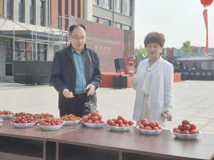 一品街道重塑城市风貌，引领未来生活新项目启动