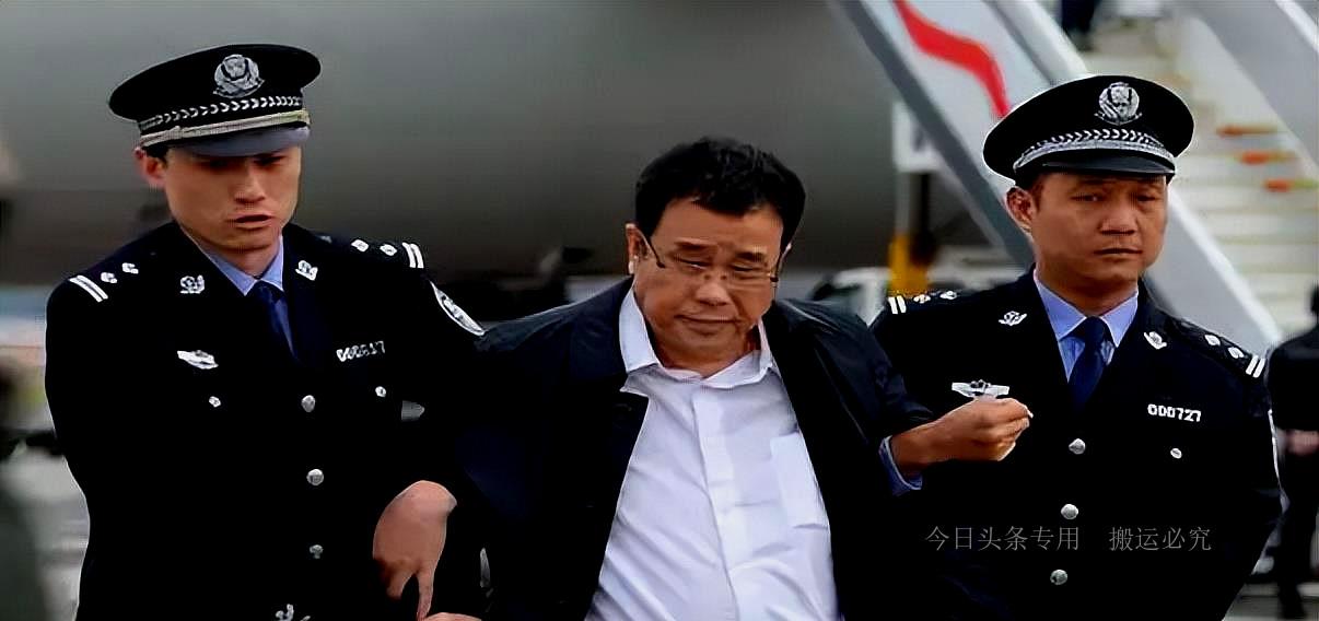 闫永明最新动态与成就概览