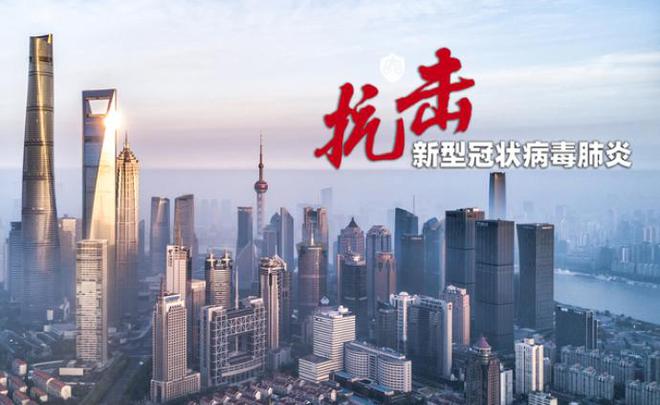 上海疫情最新动态，全面应对与积极应对的策略更新