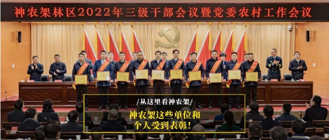 寄蕊