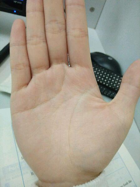 川字掌最新研究进展与应用探索