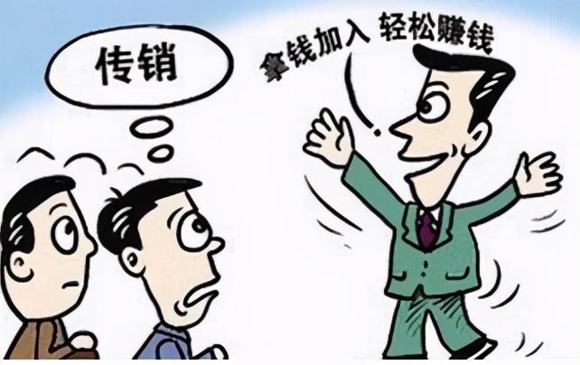 P币最新动态，探索前沿科技的无限潜力